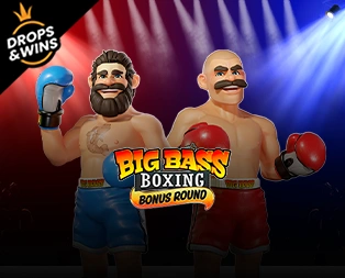 Big Bass Boxing Bonus Round