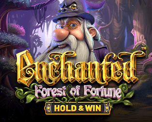 Enchanted: Forest of Fortune