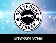 Greyhounds Streak