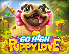 Go High Puppy Love
