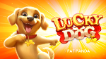 Lucky Dog