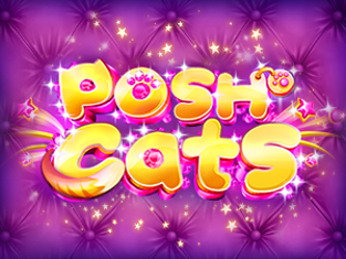 Posh Cats