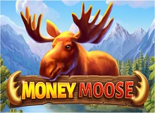 Money Moose