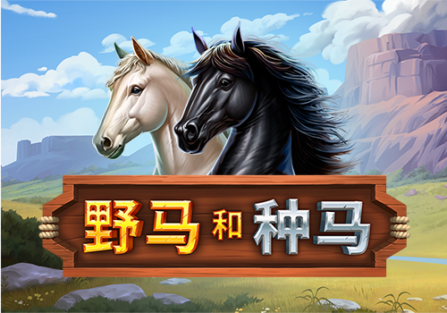 Mustang and Stallions