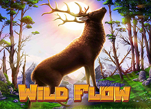 Wild Flow