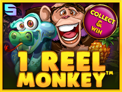 1 Reel Monkey