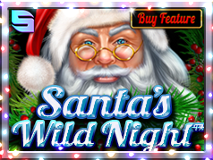 Santa’s Wild Night