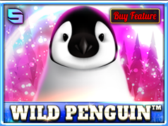 Wild Penguin