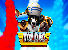 3 Top Dogs 
