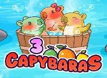 3 Capybaras 