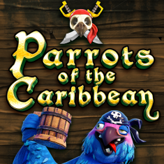 Parrots of Caribbean