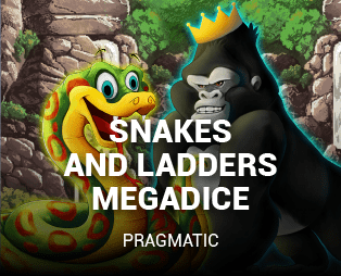 Snakes and Ladders Megadice