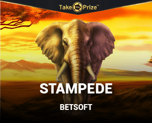 Stampede