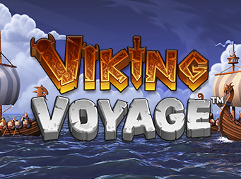 Viking Voyage