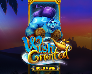 Wish Granted